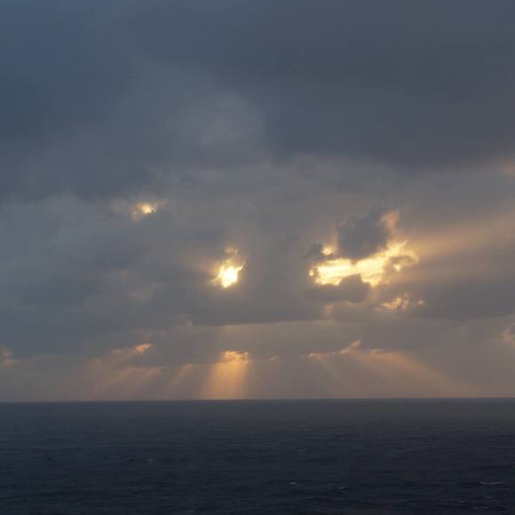 Meet your Posher, Kara - Picture 1 of 1